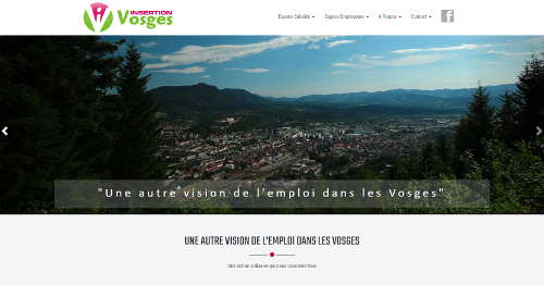 Insertion Vosges